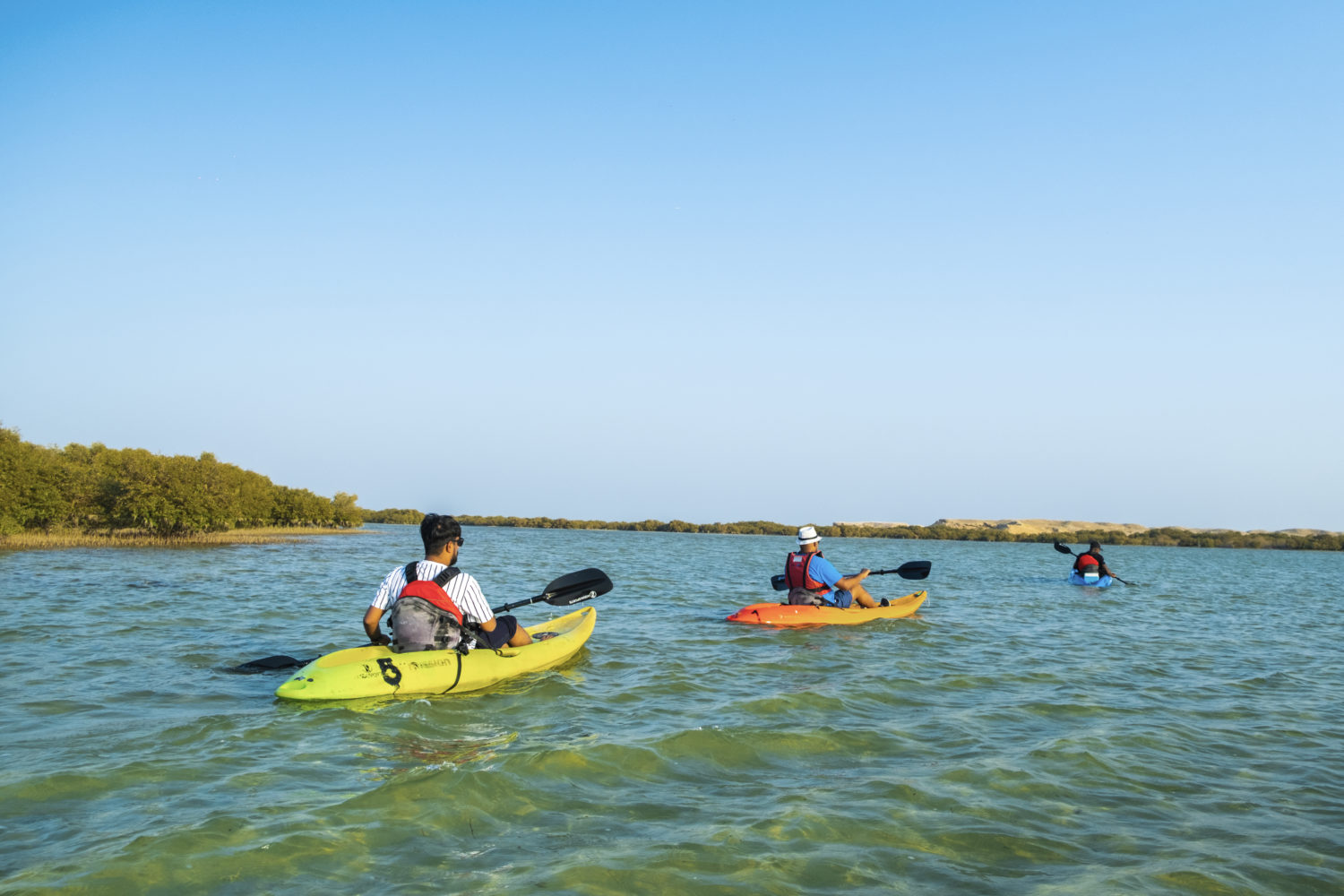 Q Moments Kayaking Activity - mangrooves - Qatar 1